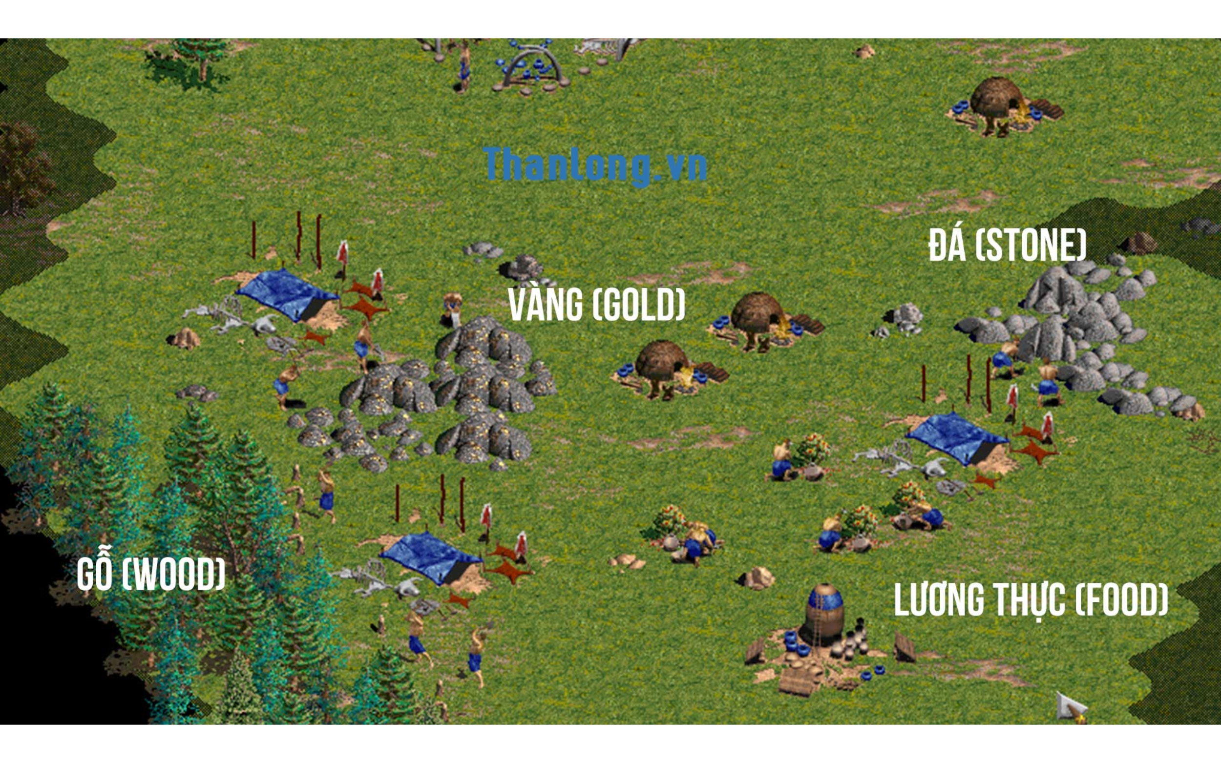 Tải game đế chế để trải nghiệm giao diện bắt mắt