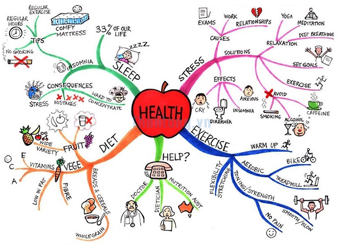 phần mềm imindmap