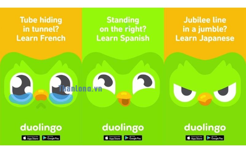 cách tải duolingo
