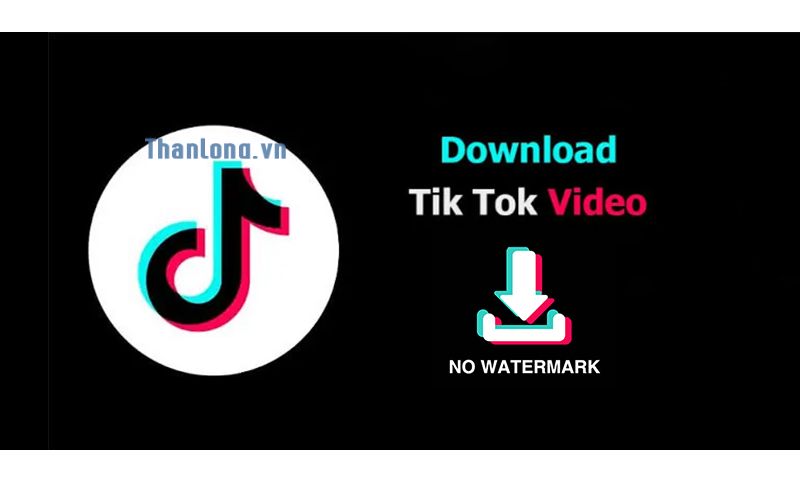 video tiktok không có logo