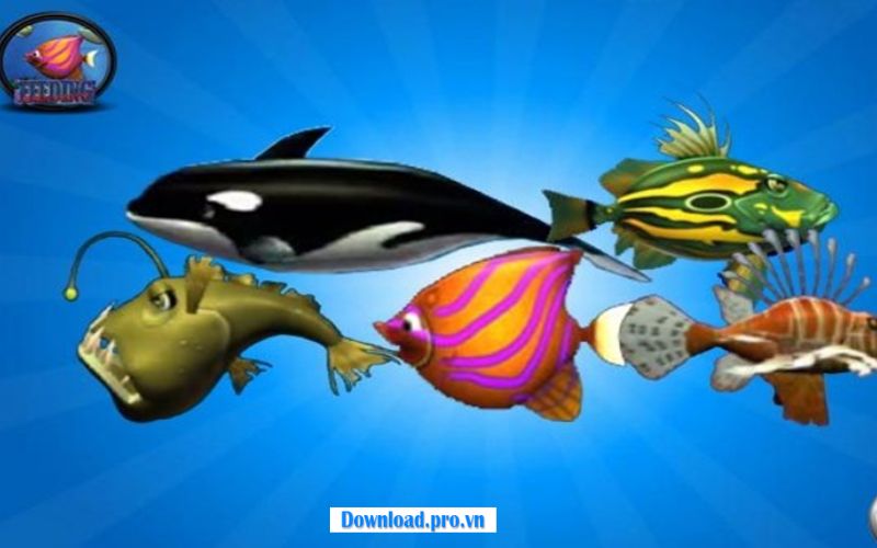 Lối chơi đơn giản