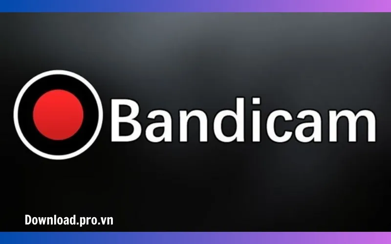 Nên sử dụng phiên bản trả phí