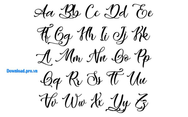 Font chữ thư pháp là gì? 